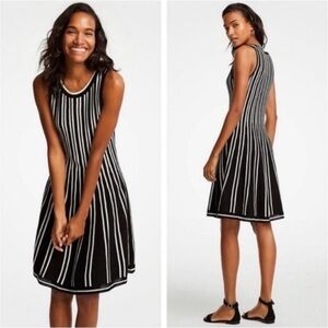 Ann Taylor Striped Knit Dress